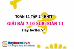 Bài 7.10 SGK Toán 11 Tập 2 Kết nối tri thức